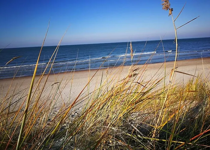 וילה Kataleja Jusu Komfortiskam Poilsiui Prie Juros! פלאנגה